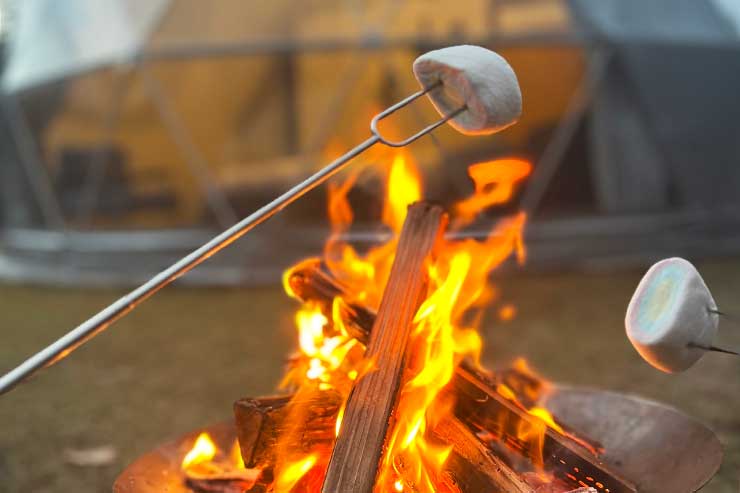 焼きマシュマロイメージ