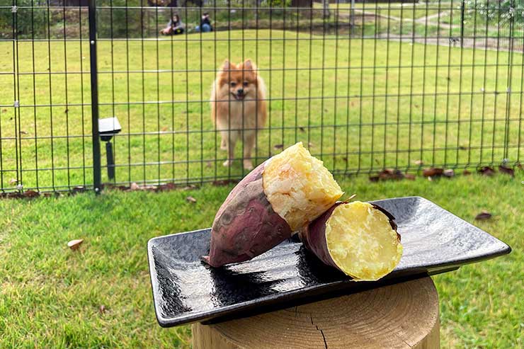 焼き芋のイメージ