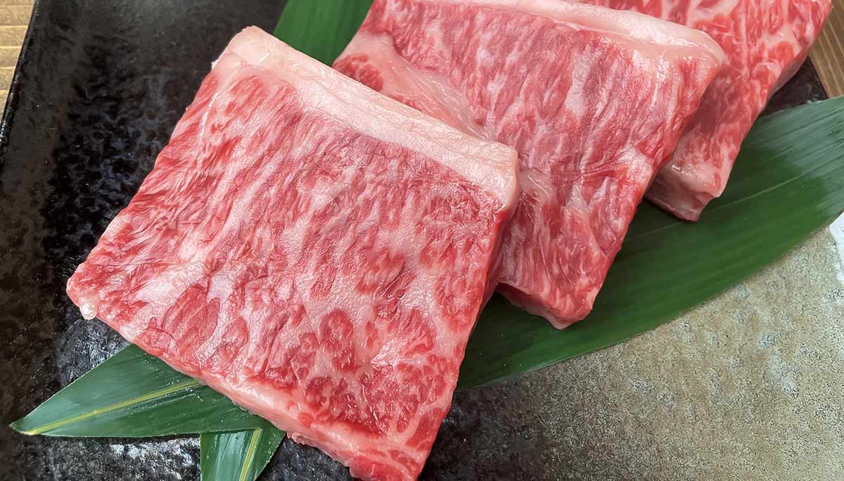 能登牛イメージ