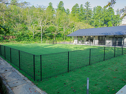 ドッグランのイメージ